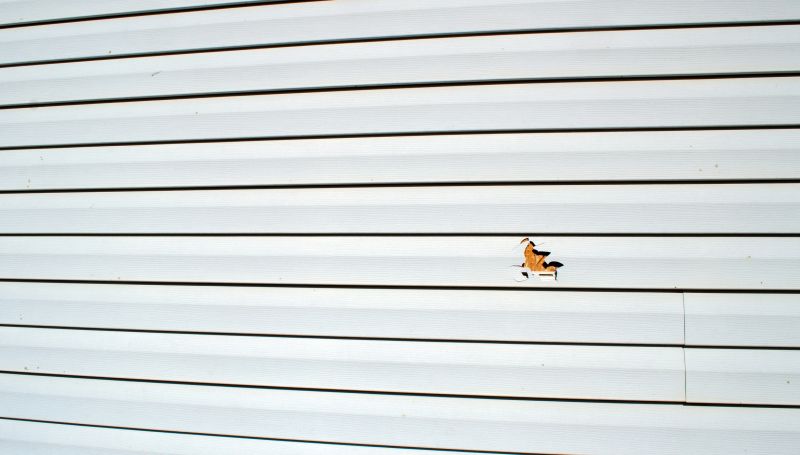 Vinyl Siding Repair Image 7